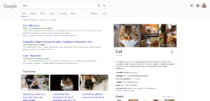 Google Search Cats